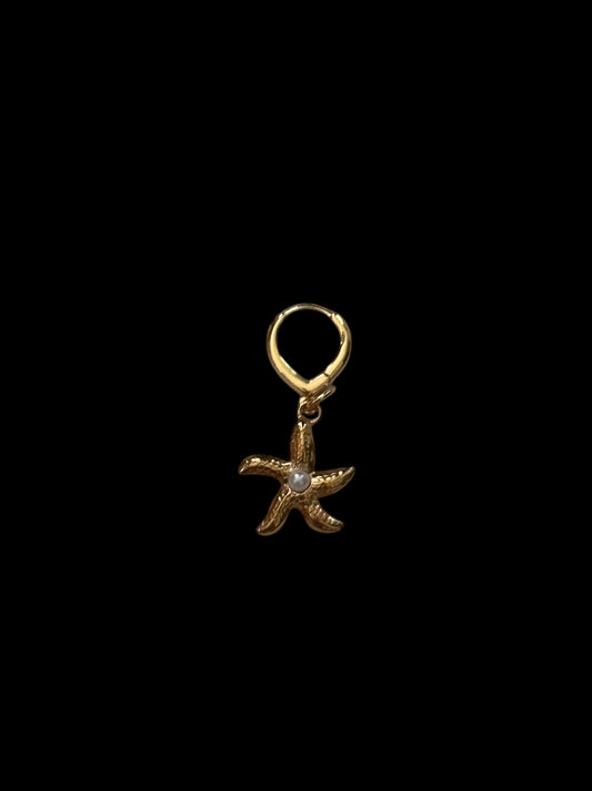 Bikini charm estrella